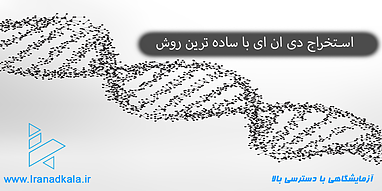 استخراج دی ان ای با ساده ترین روش | آزمایش ها جذاب